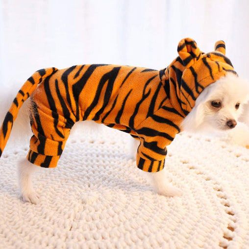 Tiger Winter Jacket For Puppy