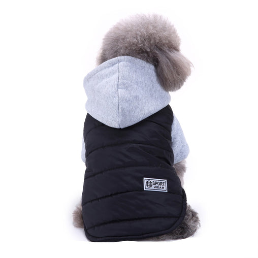 Comfortable Winter Jacket For Puppy