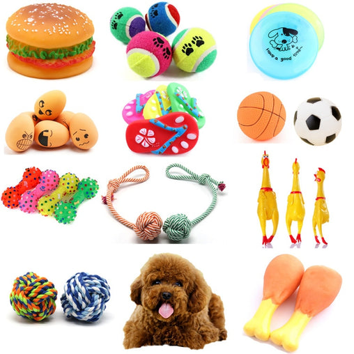 Variety of Squeaky Toys