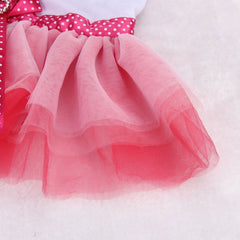 Lace Princess Tutu Dress