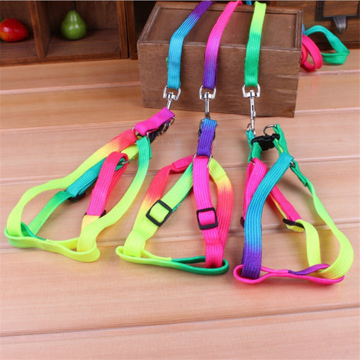 120cm Colorful Pet Harness Leash
